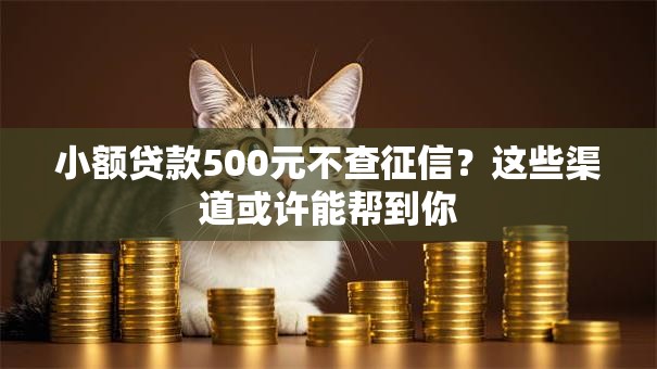 小额贷款500元不查征信？这些渠道或许能帮到你