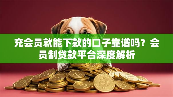 充会员就能下款的口子靠谱吗？会员制贷款平台深度解析