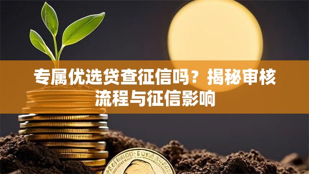 专属优选贷查征信吗?揭秘审核流程与征信影响 专属优选贷查征信吗?揭秘审核流程与征信影响