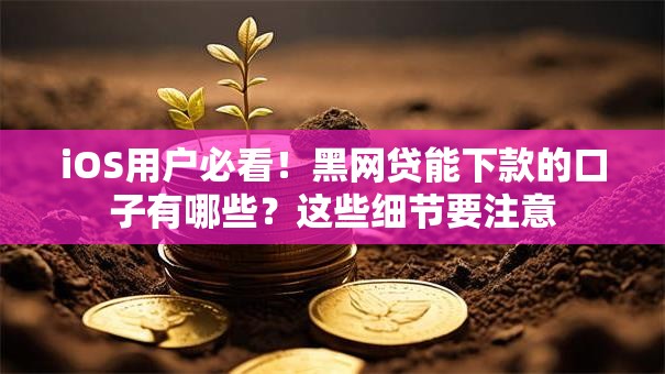 iOS用户必看！黑网贷能下款的口子有哪些？这些细节要注意