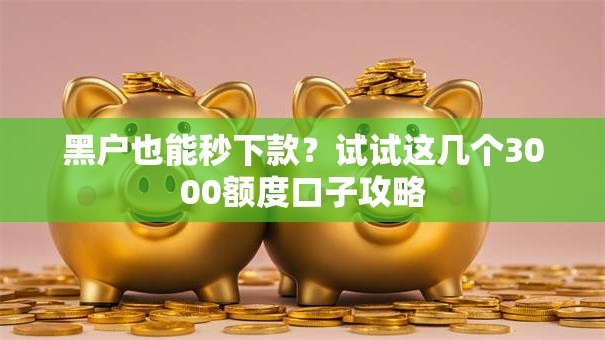 黑户也能秒下款?试试这几个3000额度口子攻略 黑户也能秒下款?试试这几个3000额度口子攻略