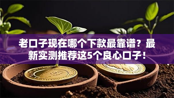 老口子现在哪个下款最靠谱？最新实测推荐这5个良心口子！