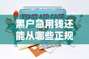 黑户急用钱还能从哪些正规渠道借到？真实经验分享