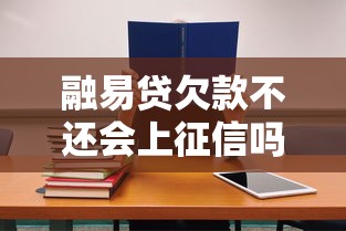 融易贷欠款不还会上征信吗？教你正确处理欠款难题