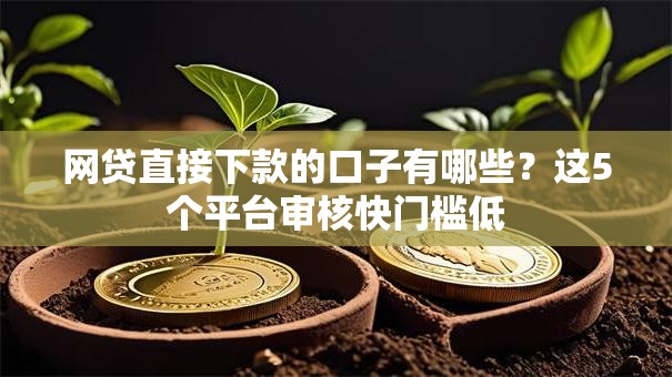 网贷直接下款的口子有哪些?这5个平台审核快门槛低 网贷直接下款的口子有哪些?这5个平台审核快门槛低