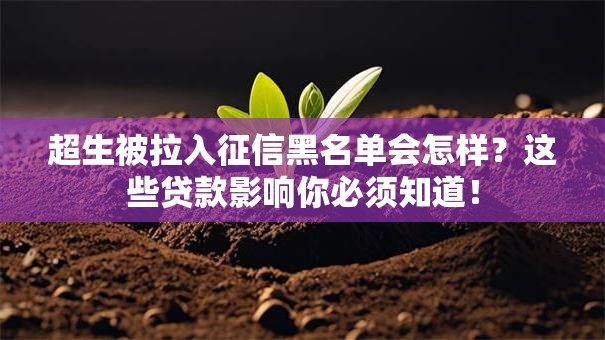 超生被拉入征信黑名单会怎样？这些贷款影响你必须知道！