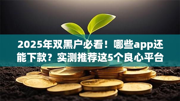 2025年双黑户必看!哪些app还能下款?实测推荐这5个良心平台 2025年双黑户必看!哪些app还能下款?实测推荐这5个良心平台