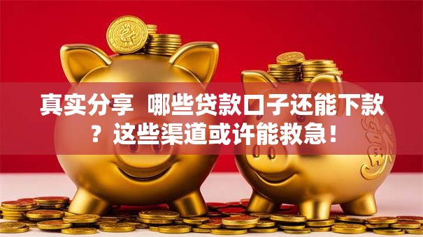 真实分享 哪些贷款口子还能下款?这些渠道或许能救急! 真实分享 哪些贷款口子还能下款?这些渠道或许能救急!