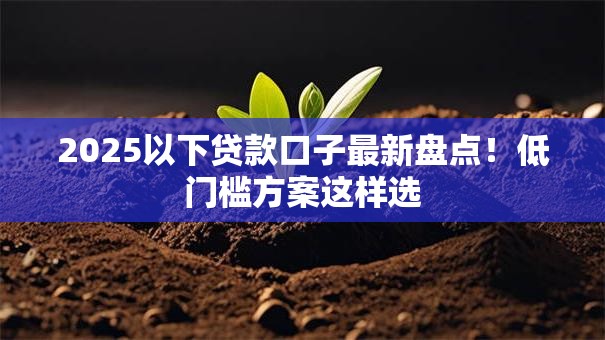 2025以下贷款口子最新盘点！低门槛方案这样选