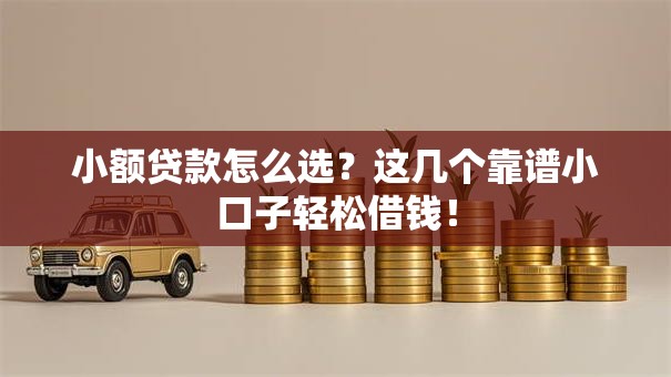 小额贷款怎么选？这几个靠谱小口子轻松借钱！