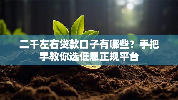 二千左右贷款口子有哪些?手把手教你选低息正规平台 二千左右贷款口子有哪些?手把手教你选低息正规平台