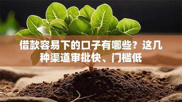 借款容易下的口子有哪些?这几种渠道审批快、门槛低 借款容易下的口子有哪些?这几种渠道审批快、门槛低