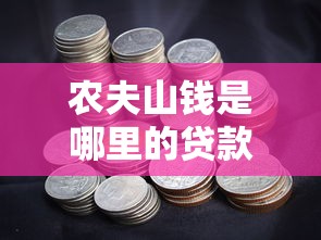 农夫山钱是哪里的贷款口子?平台背景与资质深度解析 农夫山钱是哪里的贷款口子?平台背景与资质深度解析