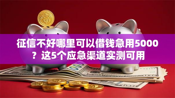 征信不好哪里可以借钱急用5000?这5个应急渠道实测可用 征信不好哪里可以借钱急用5000?这5个应急渠道实测可用
