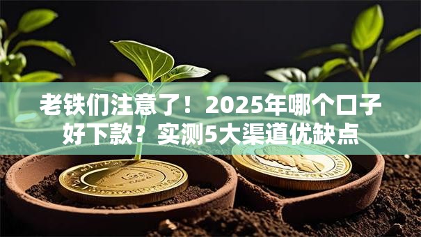 老铁们注意了!2025年哪个口子好下款?实测5大渠道优缺点 老铁们注意了!2025年哪个口子好下款?实测5大渠道优缺点