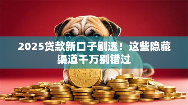 2025贷款新口子剧透!这些隐藏渠道千万别错过 2025贷款新口子剧透!这些隐藏渠道千万别错过