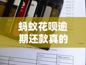 蚂蚁花呗逾期还款真的会影响信用吗?深度解析征信关联规则 蚂蚁花呗逾期还款真的会影响信用吗?深度解析征信关联规则
