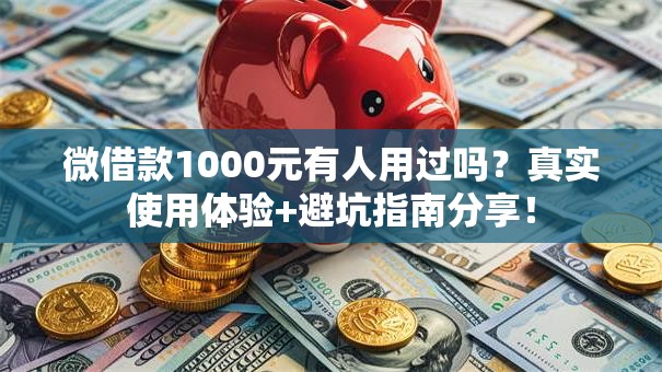 微借款1000元有人用过吗?真实使用体验+避坑指南分享! 微借款1000元有人用过吗?真实使用体验+避坑指南分享!
