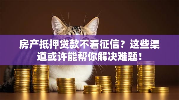 房产抵押贷款不看征信?这些渠道或许能帮你解决难题! 房产抵押贷款不看征信?这些渠道或许能帮你解决难题!