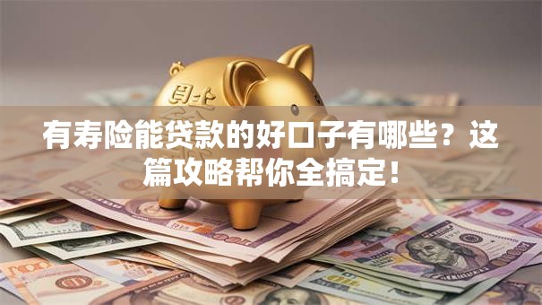 有寿险能贷款的好口子有哪些?这篇攻略帮你全搞定! 有寿险能贷款的好口子有哪些?这篇攻略帮你全搞定!