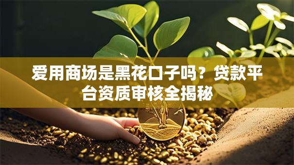 爱用商场是黑花口子吗?贷款平台资质审核全揭秘 爱用商场是黑花口子吗?贷款平台资质审核全揭秘