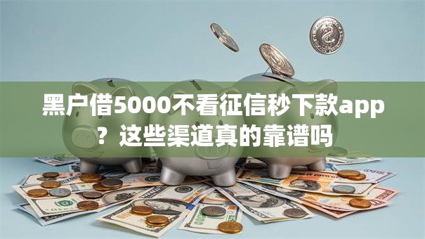 黑户借5000不看征信秒下款app？这些渠道真的靠谱吗