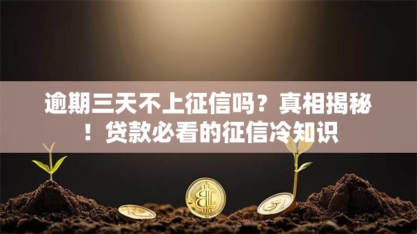 逾期三天不上征信吗?真相揭秘!贷款必看的征信冷知识 逾期三天不上征信吗?真相揭秘!贷款必看的征信冷知识