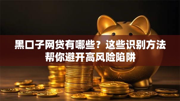 黑口子网贷有哪些?这些识别方法帮你避开高风险陷阱 黑口子网贷有哪些?这些识别方法帮你避开高风险陷阱