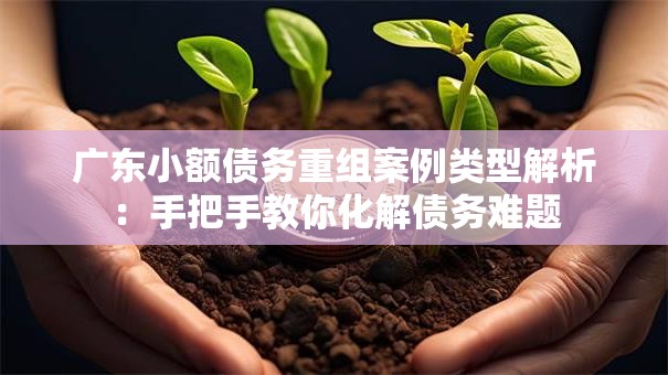 广东小额债务重组案例类型解析:手把手教你化解债务难题 广东小额债务重组案例类型解析:手把手教你化解债务难题