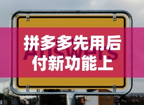 拼多多先用后付新功能上线!剁手党福利来了 拼多多先用后付新功能上线!剁手党福利来了