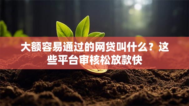 大额容易通过的网贷叫什么?这些平台审核松放款快 大额容易通过的网贷叫什么?这些平台审核松放款快
