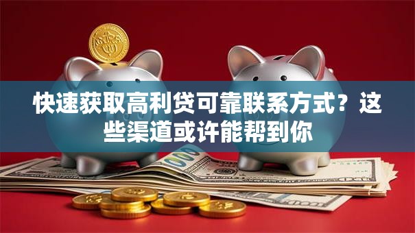 快速获取高利贷可靠联系方式？这些渠道或许能帮到你