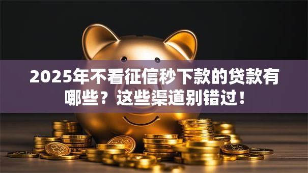 2025年不看征信秒下款的贷款有哪些？这些渠道别错过！