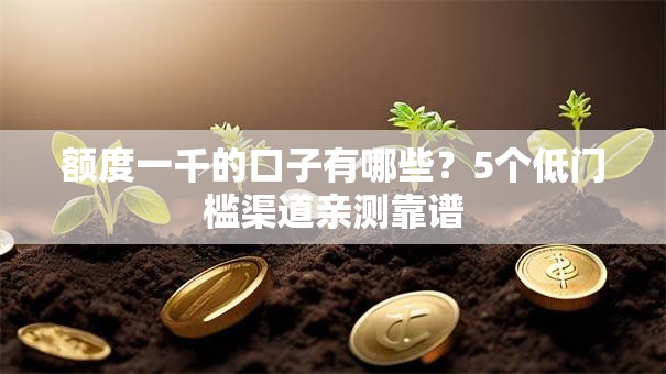 额度一千的口子有哪些？5个低门槛渠道亲测靠谱