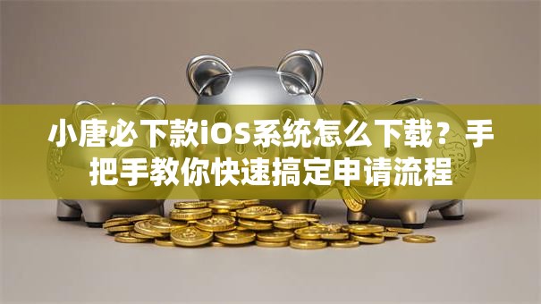 小唐必下款iOS系统怎么下载？手把手教你快速搞定申请流程
