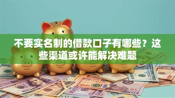 不要实名制的借款口子有哪些？这些渠道或许能解决难题