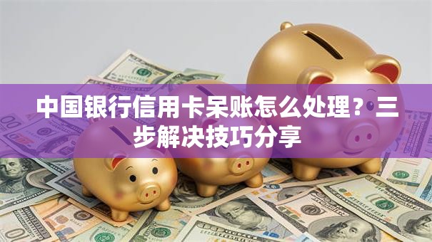 中国银行信用卡呆账怎么处理？三步解决技巧分享