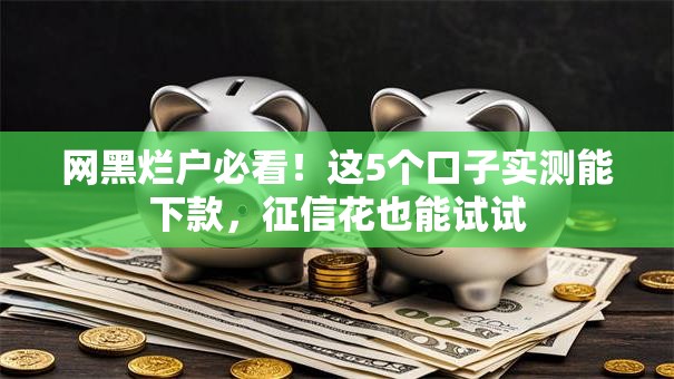 网黑烂户必看！这5个口子实测能下款，征信花也能试试