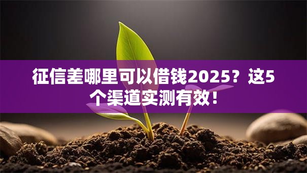 征信差哪里可以借钱2025？这5个渠道实测有效！