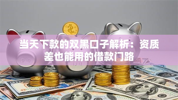 当天下款的双黑口子解析：资质差也能用的借款门路