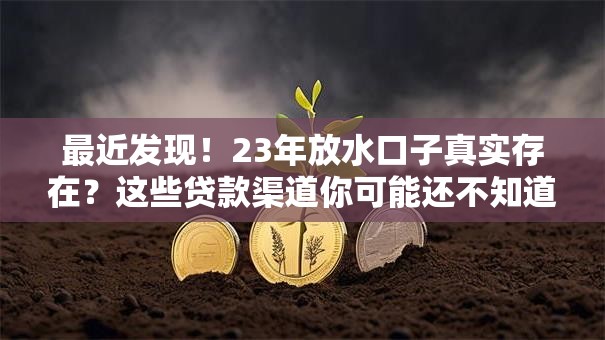 最近发现！23年放水口子真实存在？这些贷款渠道你可能还不知道