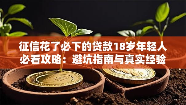 征信花了必下的贷款18岁年轻人必看攻略：避坑指南与真实经验分享