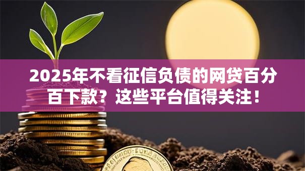 2025年不看征信负债的网贷百分百下款?这些平台值得关注! 2025年不看征信负债的网贷百分百下款?这些平台值得关注!