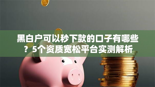 黑白户可以秒下款的口子有哪些?5个资质宽松平台实测解析 黑白户可以秒下款的口子有哪些?5个资质宽松平台实测解析