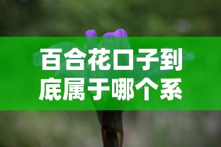 百合花口子到底属于哪个系列?深度解析贷款产品定位 百合花口子到底属于哪个系列?深度解析贷款产品定位