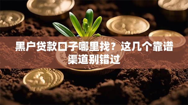 黑户贷款口子哪里找？这几个靠谱渠道别错过