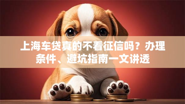 上海车贷真的不看征信吗?办理条件、避坑指南一文讲透 上海车贷真的不看征信吗?办理条件、避坑指南一文讲透