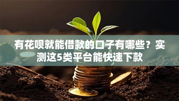 有花呗就能借款的口子有哪些?实测这5类平台能快速下款 有花呗就能借款的口子有哪些?实测这5类平台能快速下款