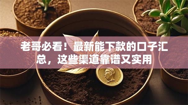 老哥必看!最新能下款的口子汇总,这些渠道靠谱又实用 老哥必看!最新能下款的口子汇总,这些渠道靠谱又实用