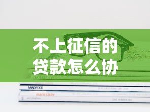 不上征信的贷款怎么协商还款?这些技巧必须掌握! 不上征信的贷款怎么协商还款?这些技巧必须掌握!